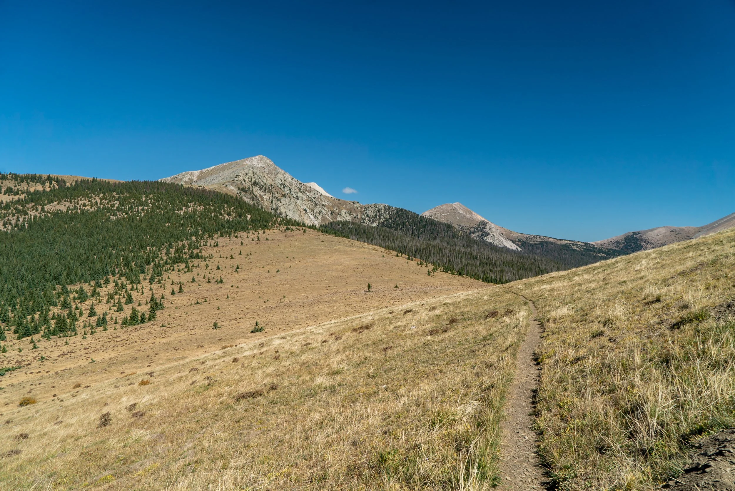 JUSTIN SPRECHER - 6 Days in the Pecos Wilderness